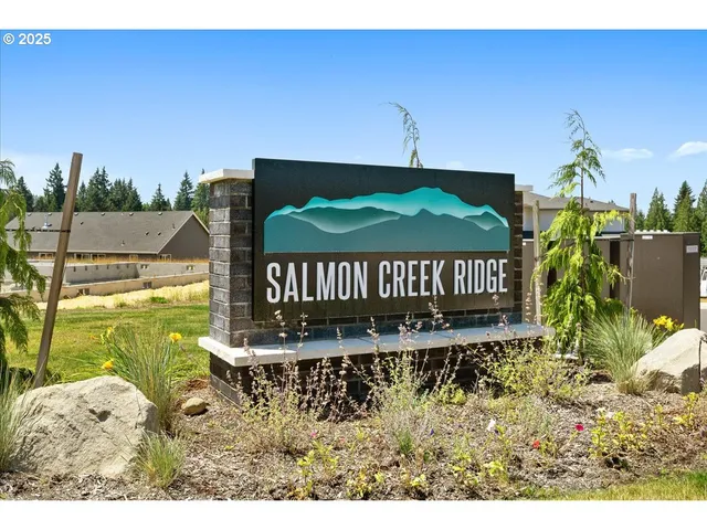 a view of a yard with a bench