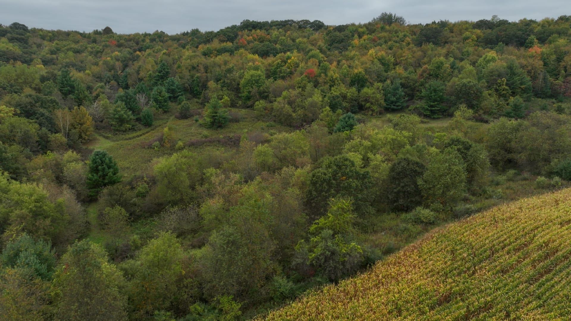 0 Pierce Road Hixton, WI 54635 - Photo 26 of 90 Gallery Image 26