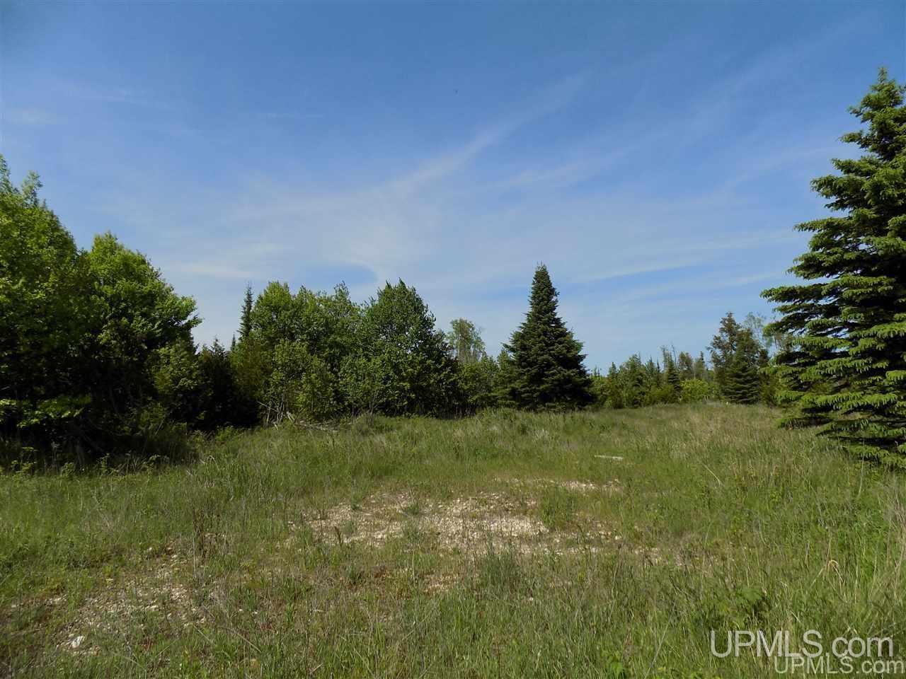 Tbd Miller Point Road Manistique, MI 49854 - Photo 12 of 18