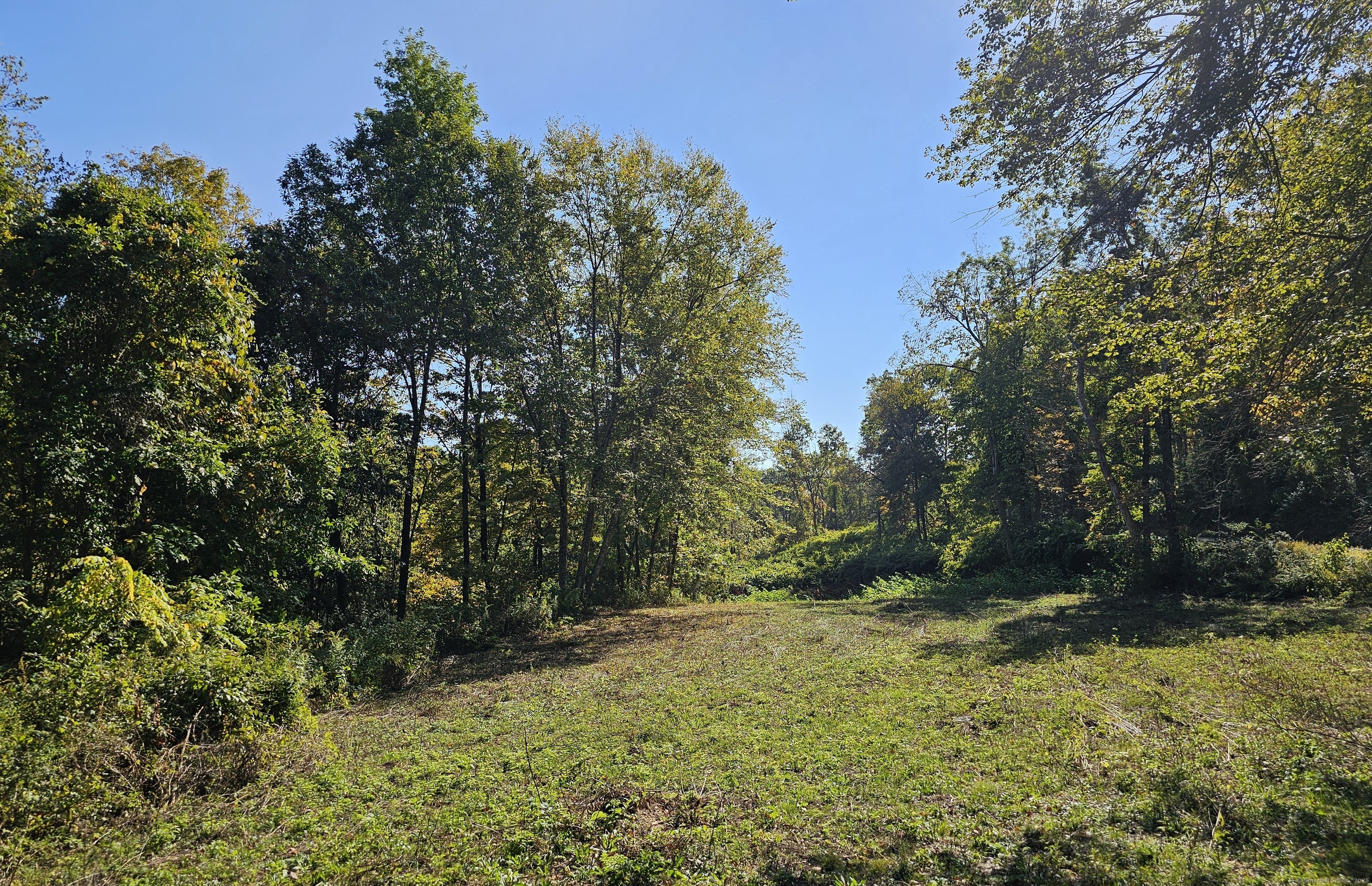 Booth Road Roxbury, CT 06783 - Photo 2 of 7 a view of a yard with plants and large trees