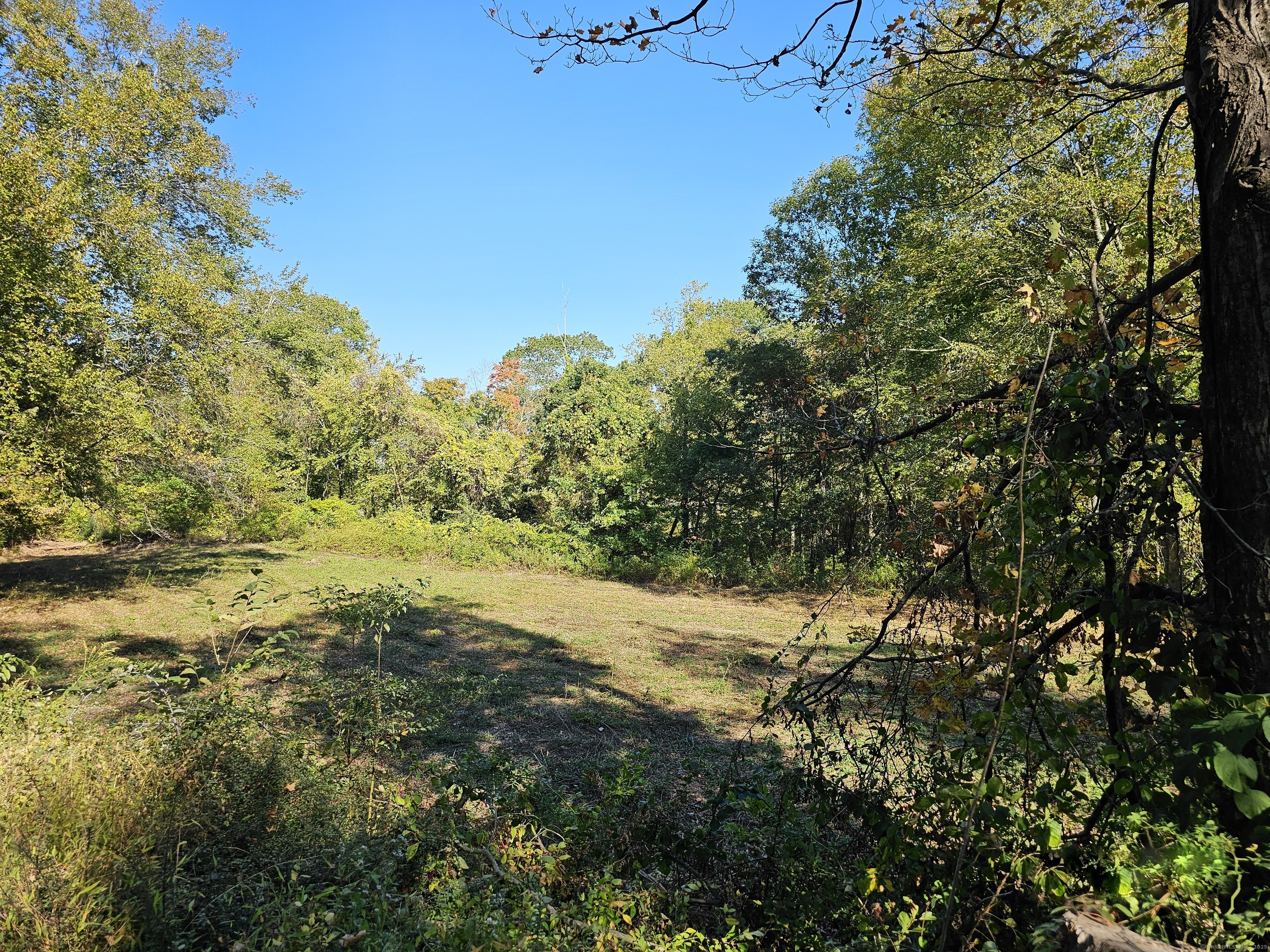 Booth Road Roxbury, CT 06783 - Photo 3 of 7 a view of a field with an tree