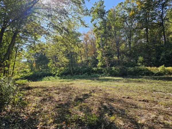 a view of outdoor space and yard