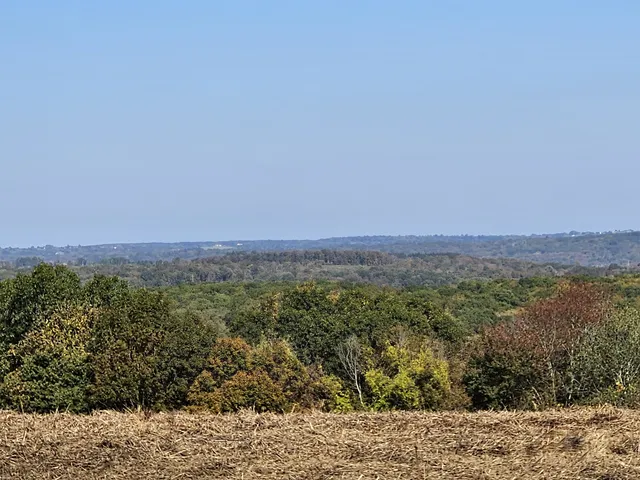 a view of a yard with a mountain