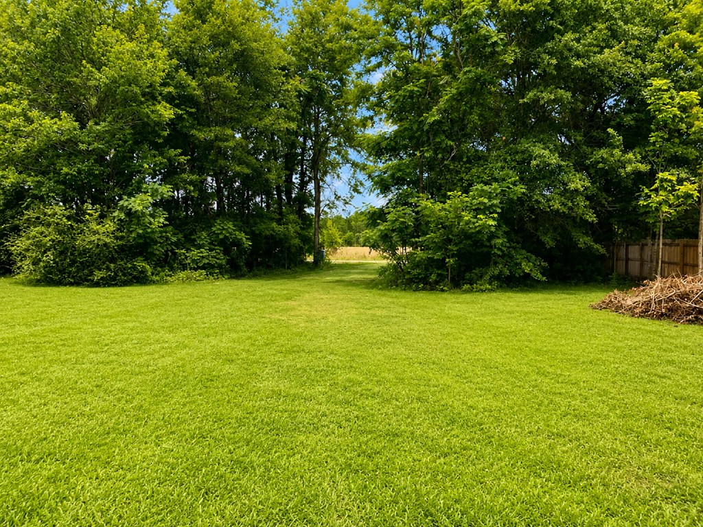2110 Hickory Grove Road Cottonwood, AL 36320 - Photo 20 of 20