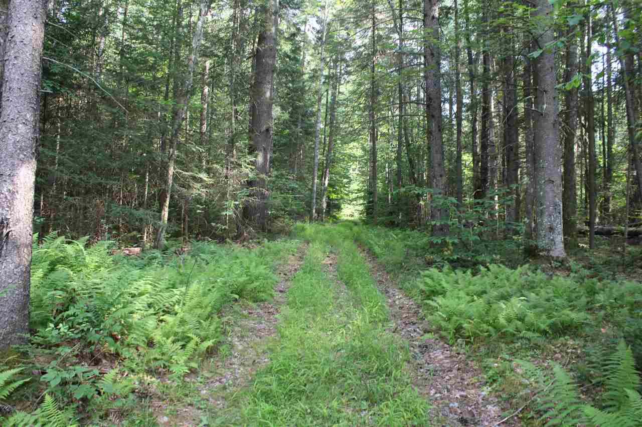 162 Hemlock Lane Ripton, VT 05766 - Photo 4 of 13