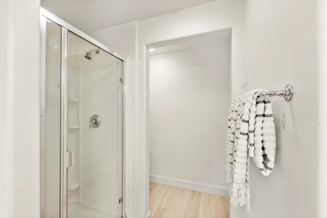 a view of a garden with plants