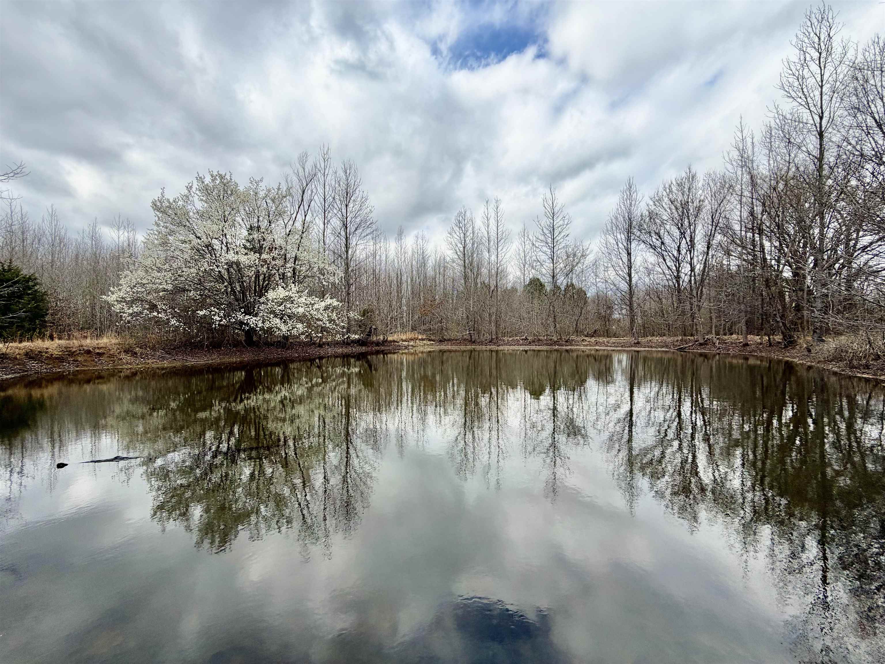 9870 Moose Road Millington, TN 38053 - Photo 1 of 6 Water view