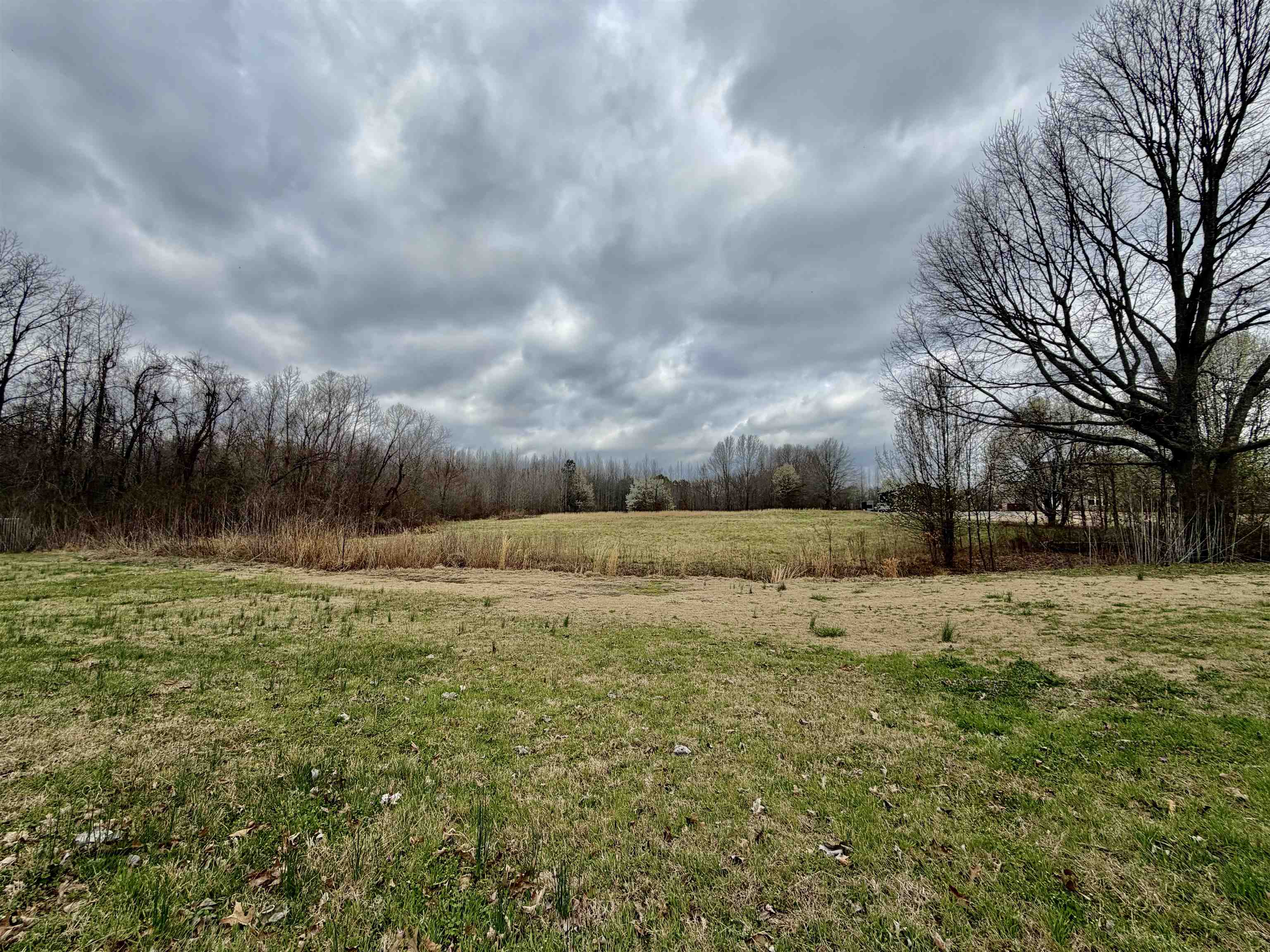 9870 Moose Road Millington, TN 38053 - Photo 5 of 6 View of green lawn featuring a rural view