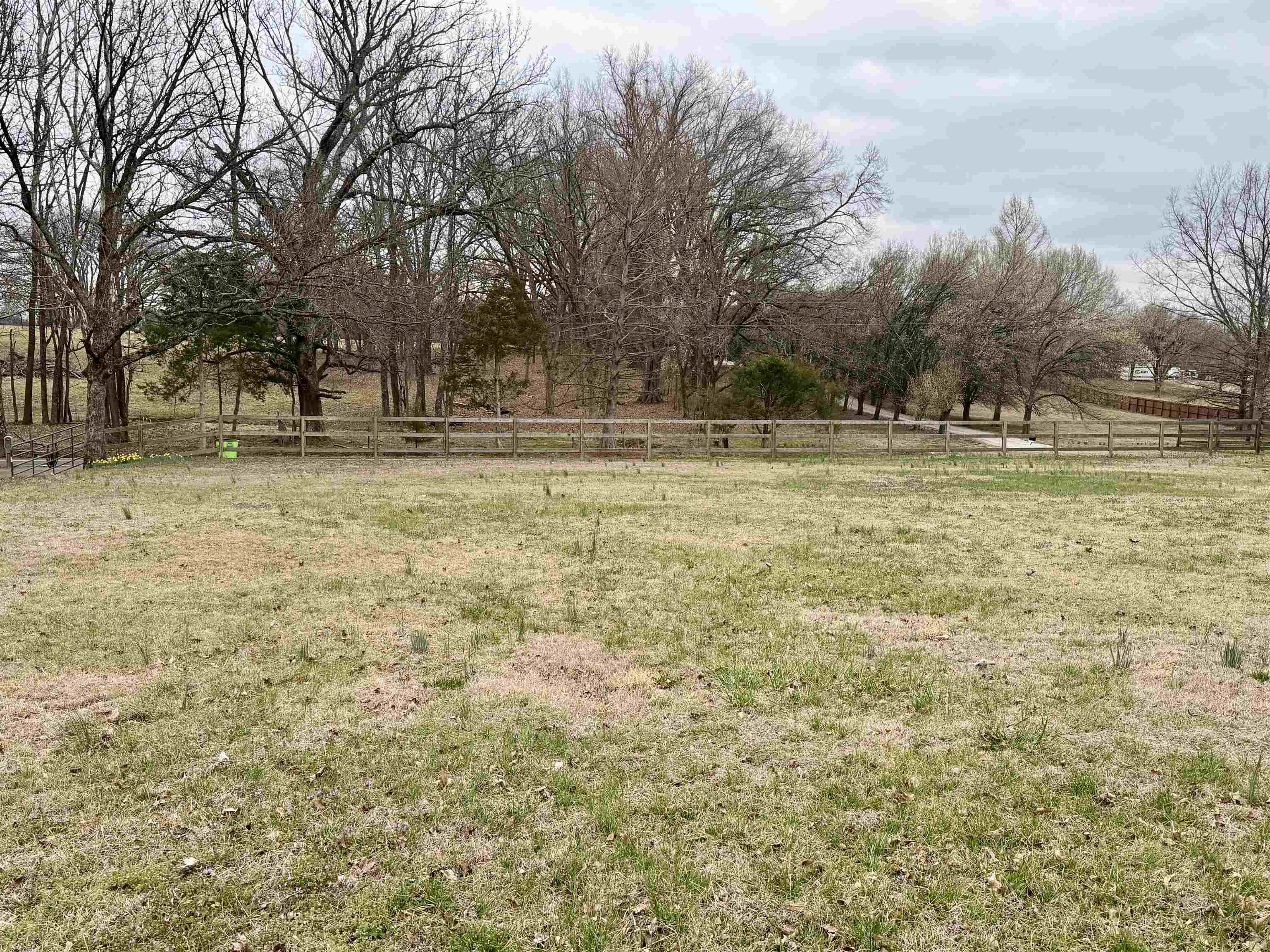 9870 Moose Road Millington, TN 38053 - Photo 6 of 6 View of yard with a rural view