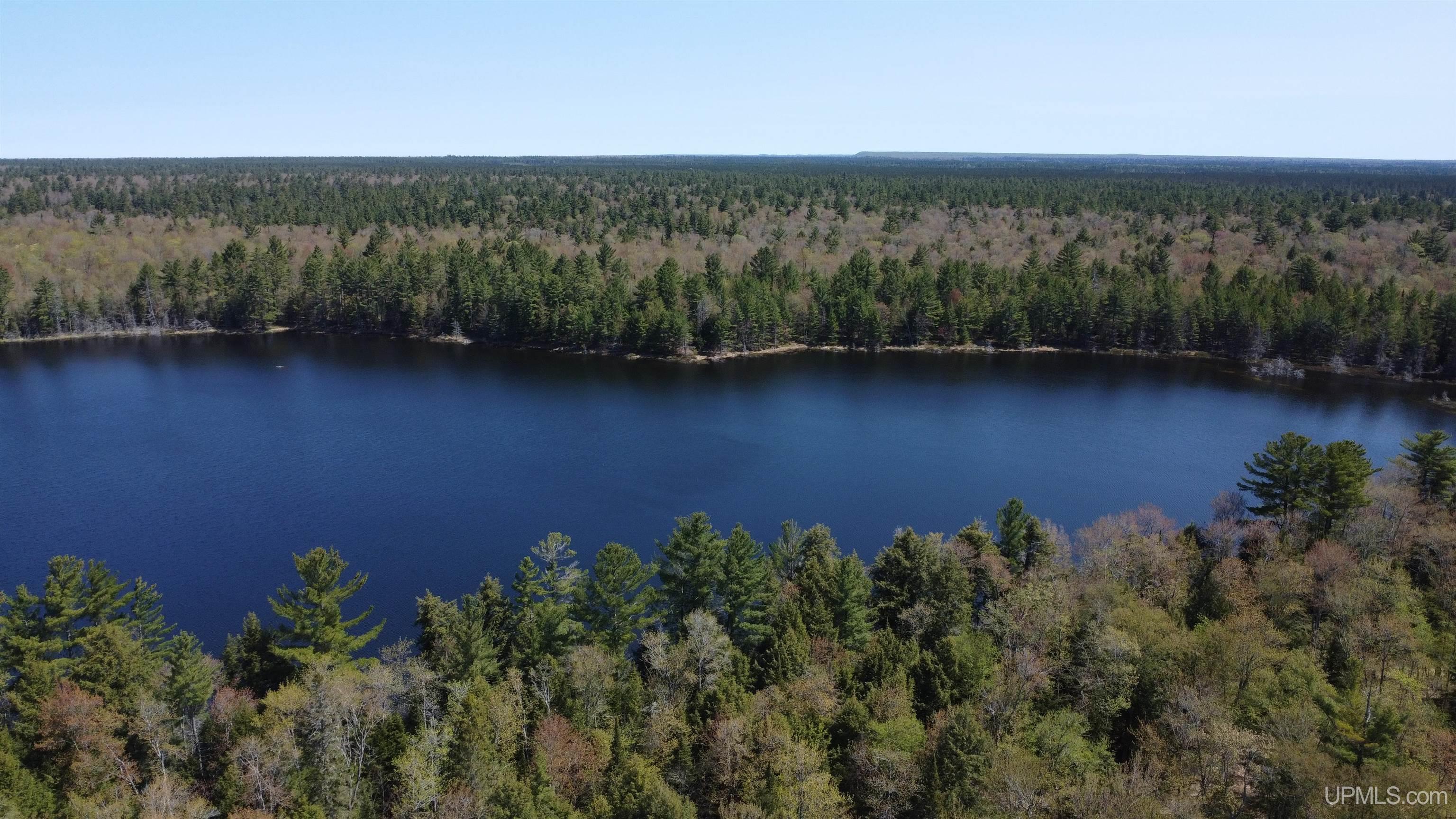 Off Adams Trail Shingleton, MI 49884 - Photo 28 of 46