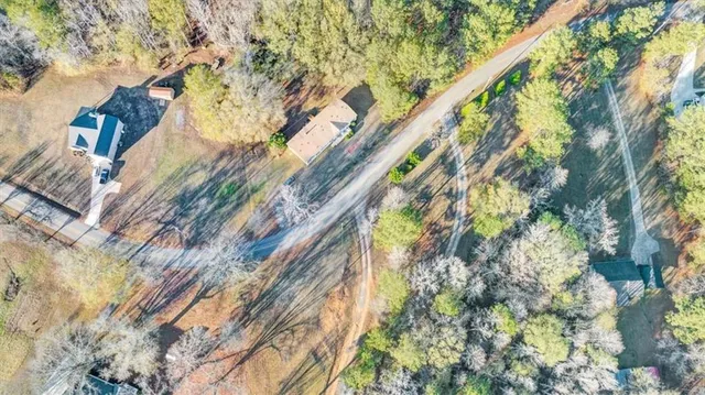 a close up of a plant in a building