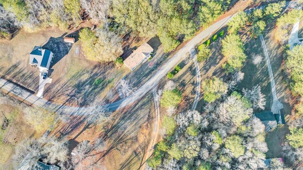 217 Browning Road Villa Rica, GA 30180 - Photo 3 of 40 a close up of a plant in a building