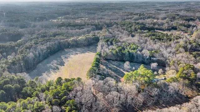 a view of a garden with plants