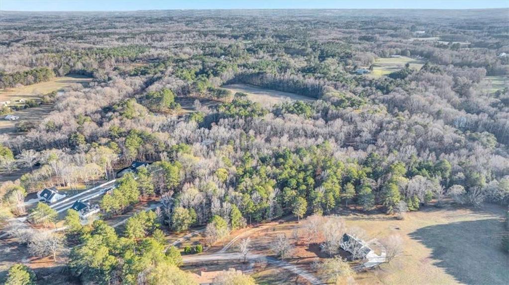 217 Browning Road Villa Rica, GA 30180 - Photo 39 of 40 an aerial view of a house with a yard