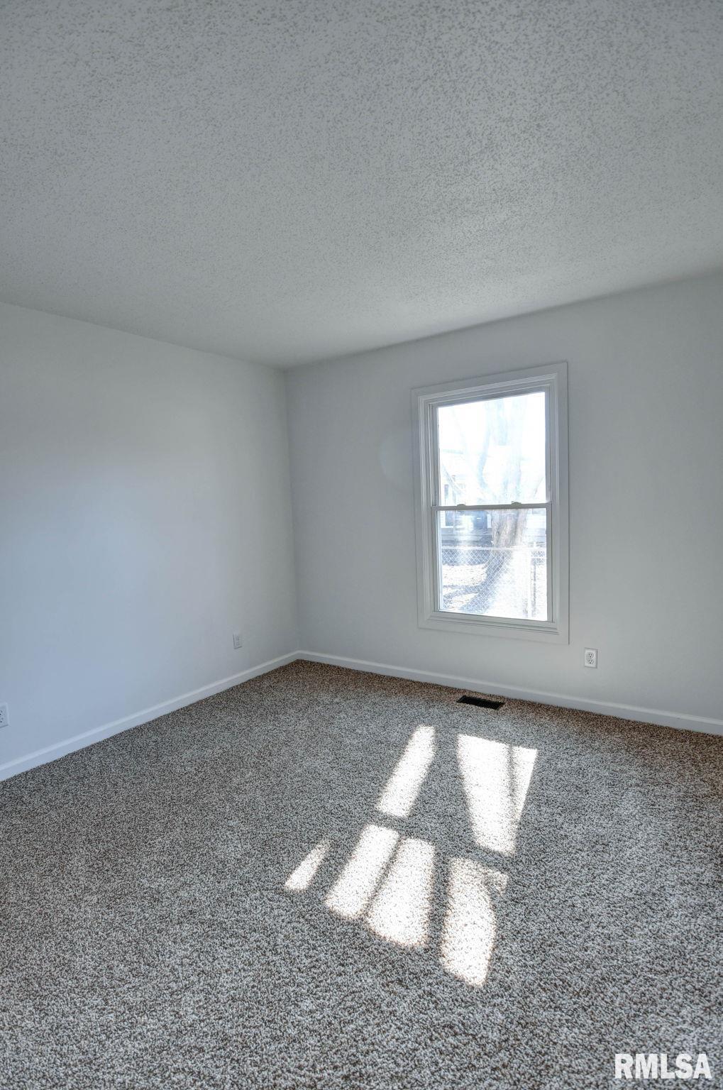 204 Henry Street Bulpitt, IL 62517 - Photo 30 of 52