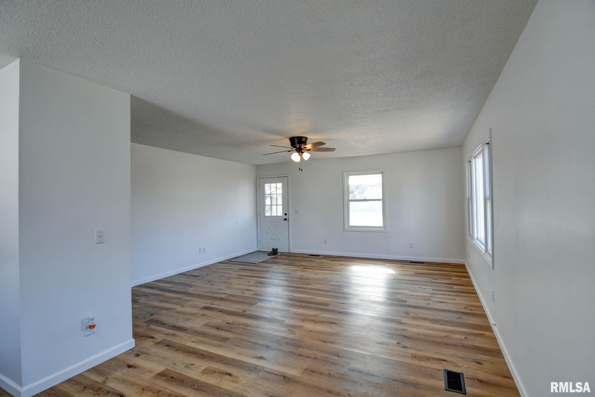 204 Henry Street Bulpitt, IL 62517 - Photo 4 of 52