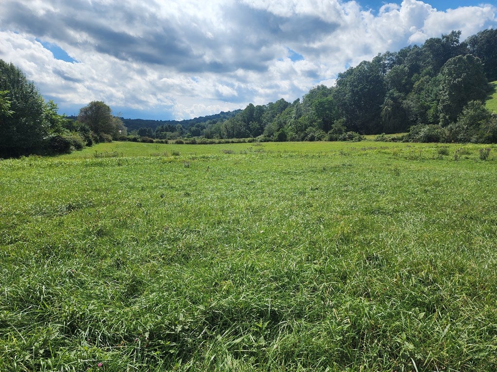 281 Arrowhead Road Fancy Gap, VA 24328 - Photo 26 of 44 Gallery Image 26