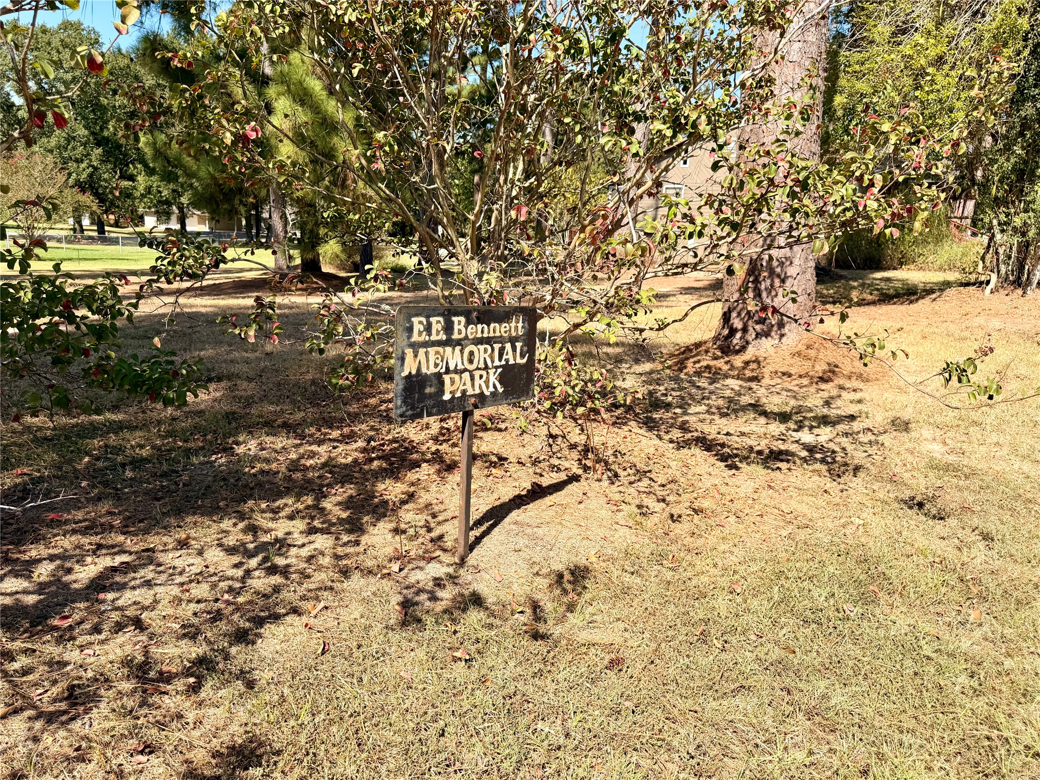 94 Gov Bell Drive Point Blank, TX 77364 - Photo 45 of 49