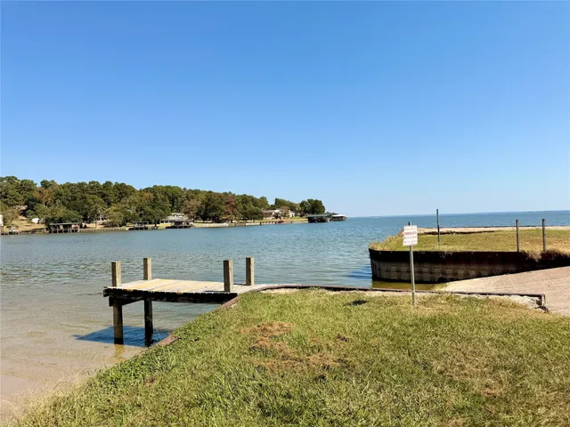 $305,000 | 94 Gov Bell Drive, Point Blank, TX 77364