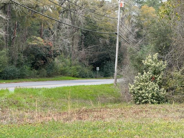 0 Davis Street Elba, AL 36323 - Photo 1 of 14
