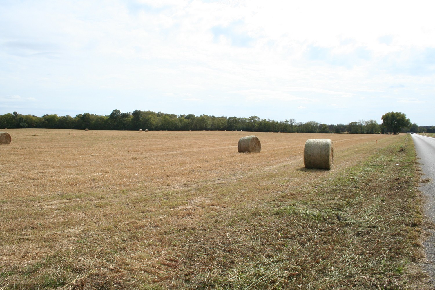 1 Karo Road Christiana, TN 37037 - Photo 3 of 6 Gallery Image 3