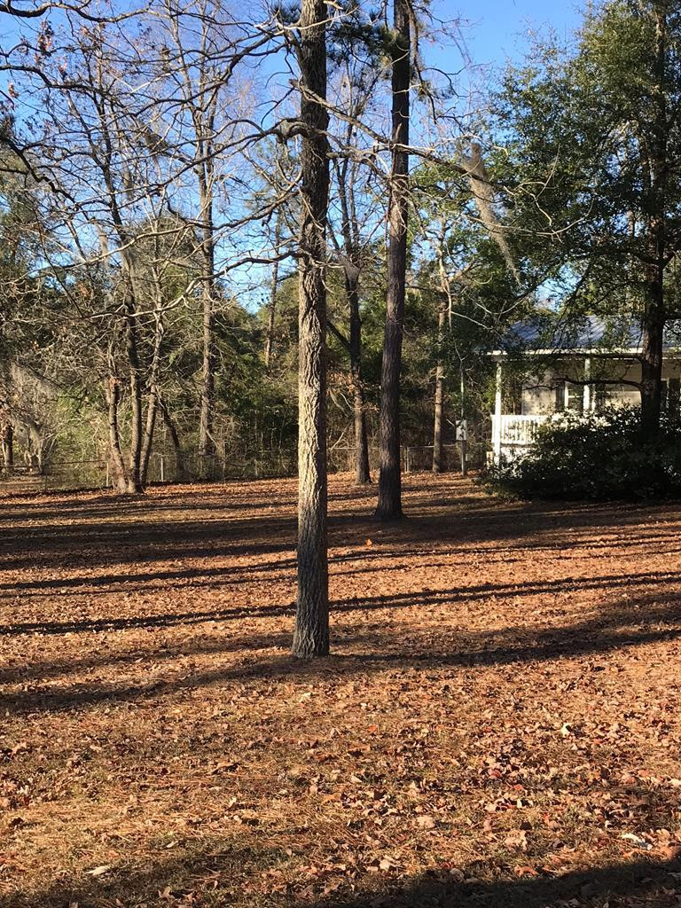 207 Daniel Street Jackson, SC 29831 - Photo 8 of 14