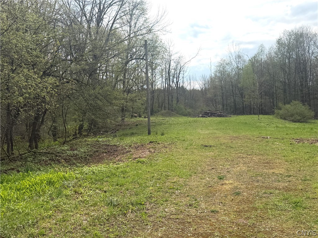 83 Van Auken Road Boylston, NY 13083 - Photo 1 of 1