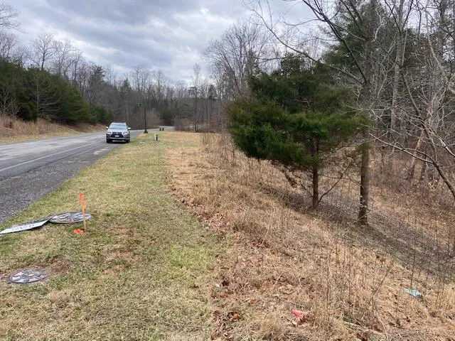 a view of a yard with trees