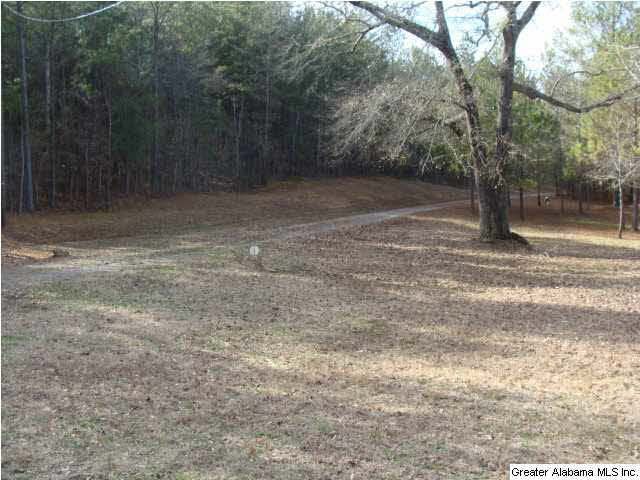 13899 Milldale Road Brookwood, AL 35444 - Photo 18 of 22