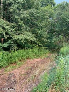 Lot 1 Twin Rocks (rt 191) Road Sterling, PA 18463 - Photo 5 of 5