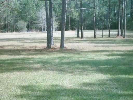 77164 Robinson Road Folsom, LA 70437 - Photo 5 of 8