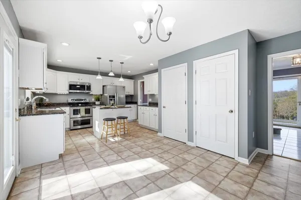 a close up of a plant in a kitchen