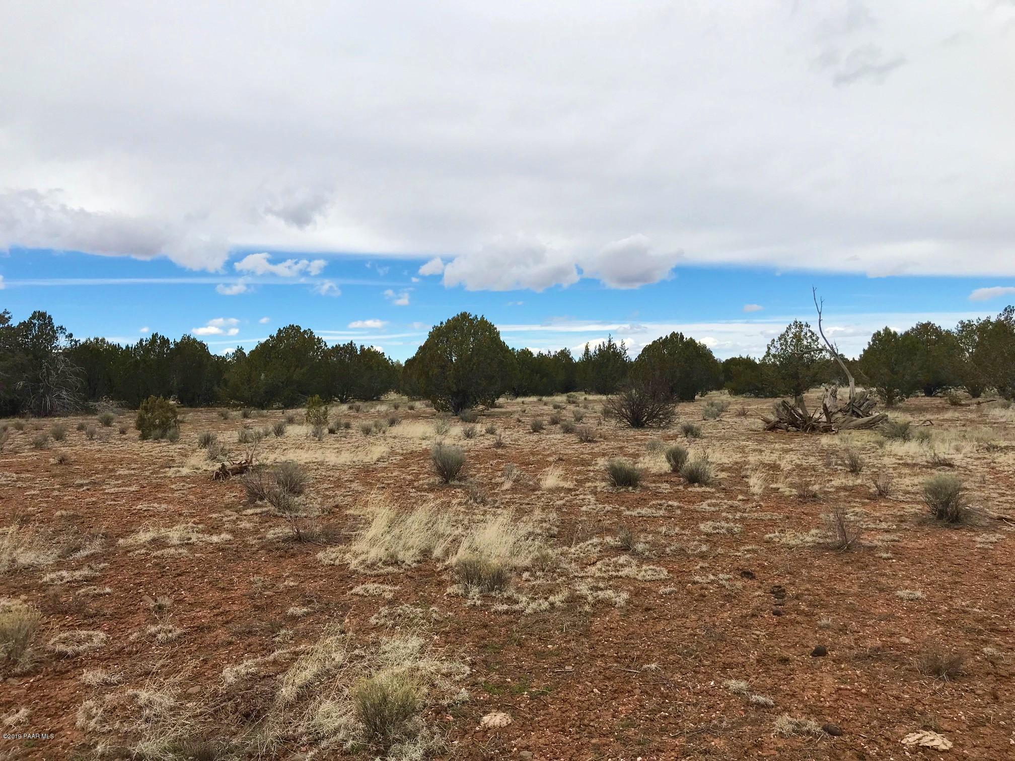 304 Rut Road Ash Fork, AZ 86320 - Photo 1 of 10 IMG_6667