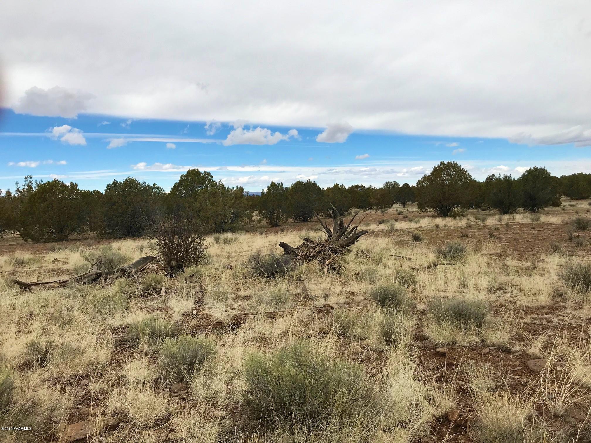 304 Rut Road Ash Fork, AZ 86320 - Photo 2 of 10 IMG_6668