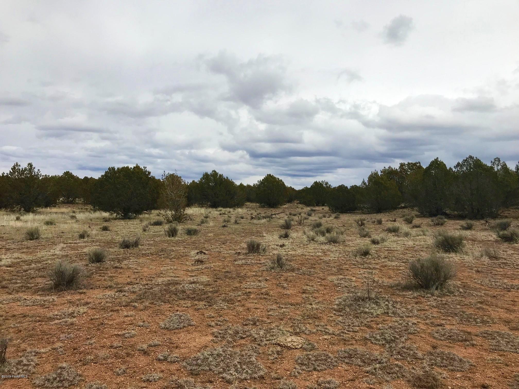 304 Rut Road Ash Fork, AZ 86320 - Photo 3 of 10 IMG_6669