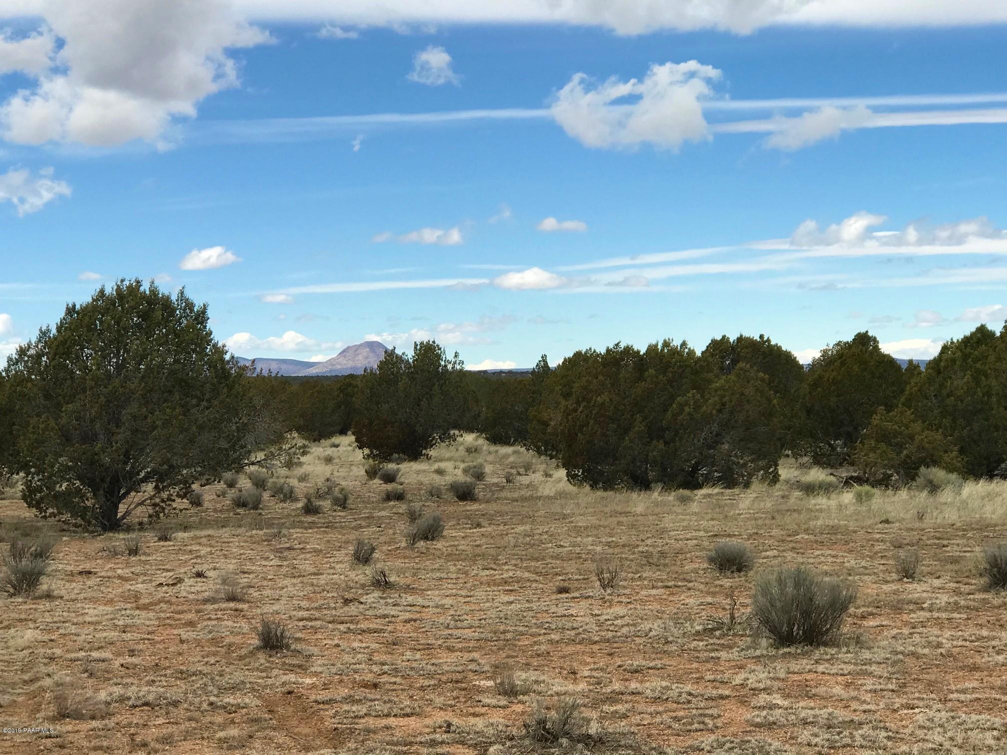 304 Rut Road Ash Fork, AZ 86320 - Photo 4 of 10 IMG_6670
