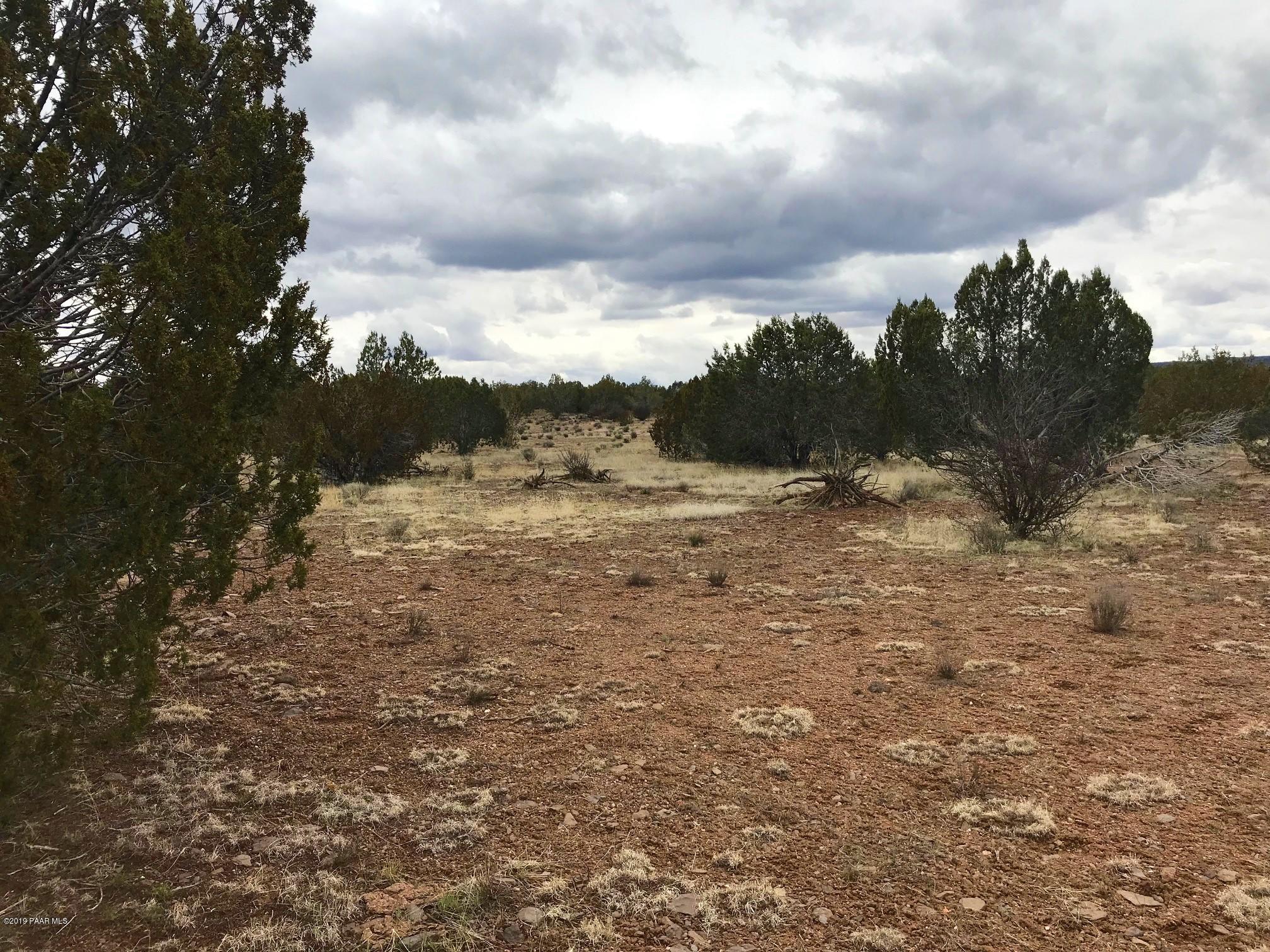 304 Rut Road Ash Fork, AZ 86320 - Photo 6 of 10 IMG_6672