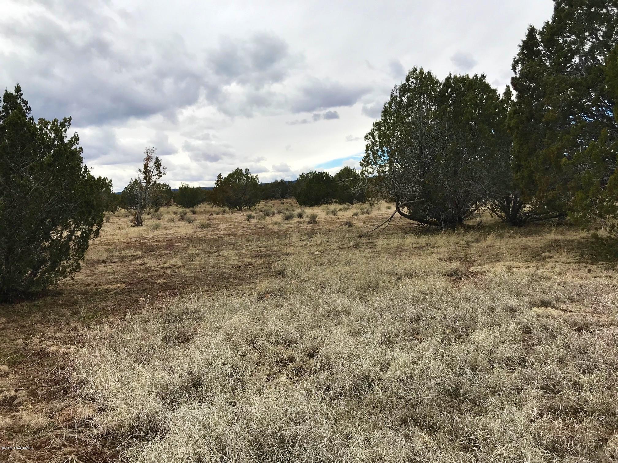 304 Rut Road Ash Fork, AZ 86320 - Photo 7 of 10 IMG_6673