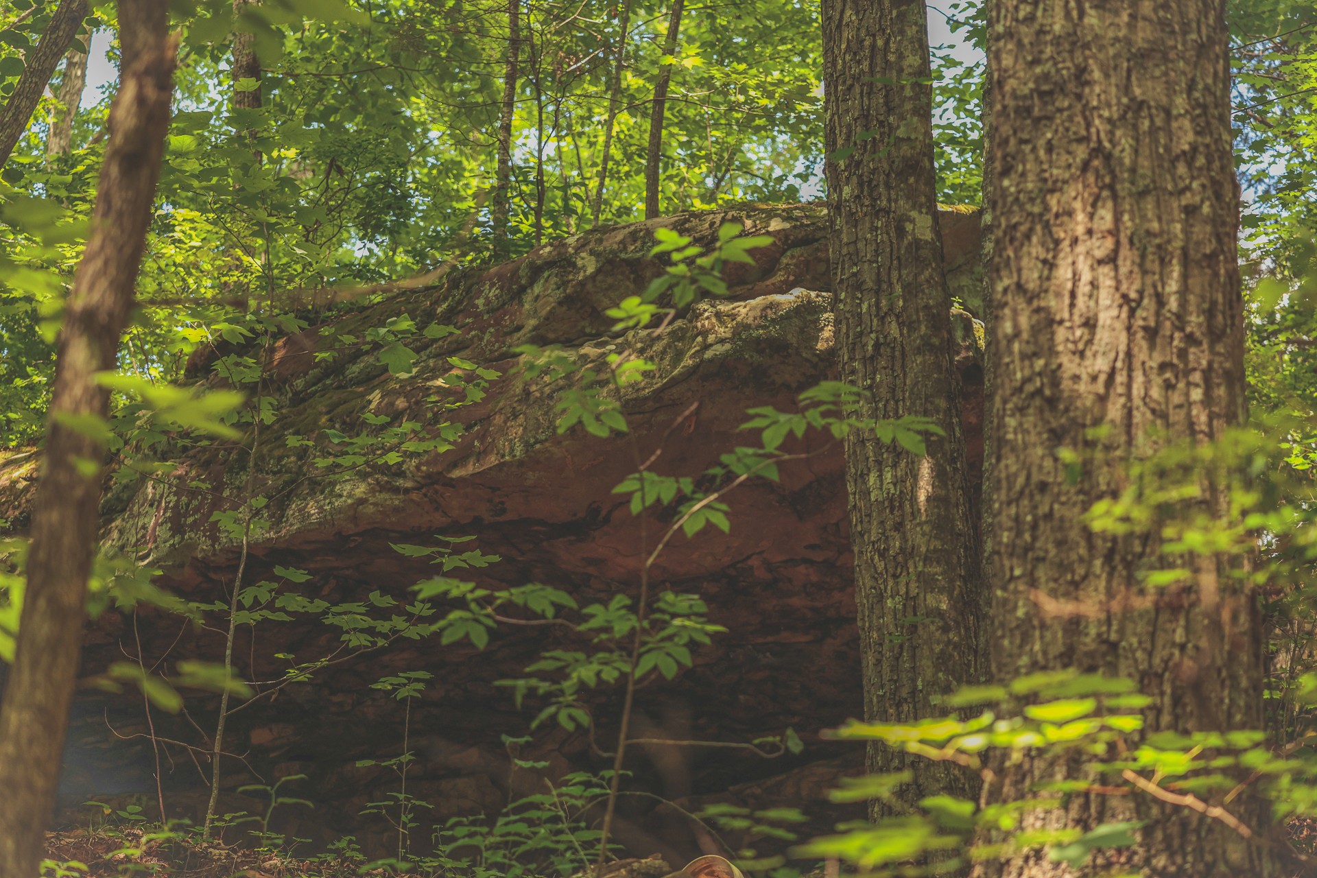 0 Long Fork Creek Road Spencer, TN 38585 - Photo 25 of 45
