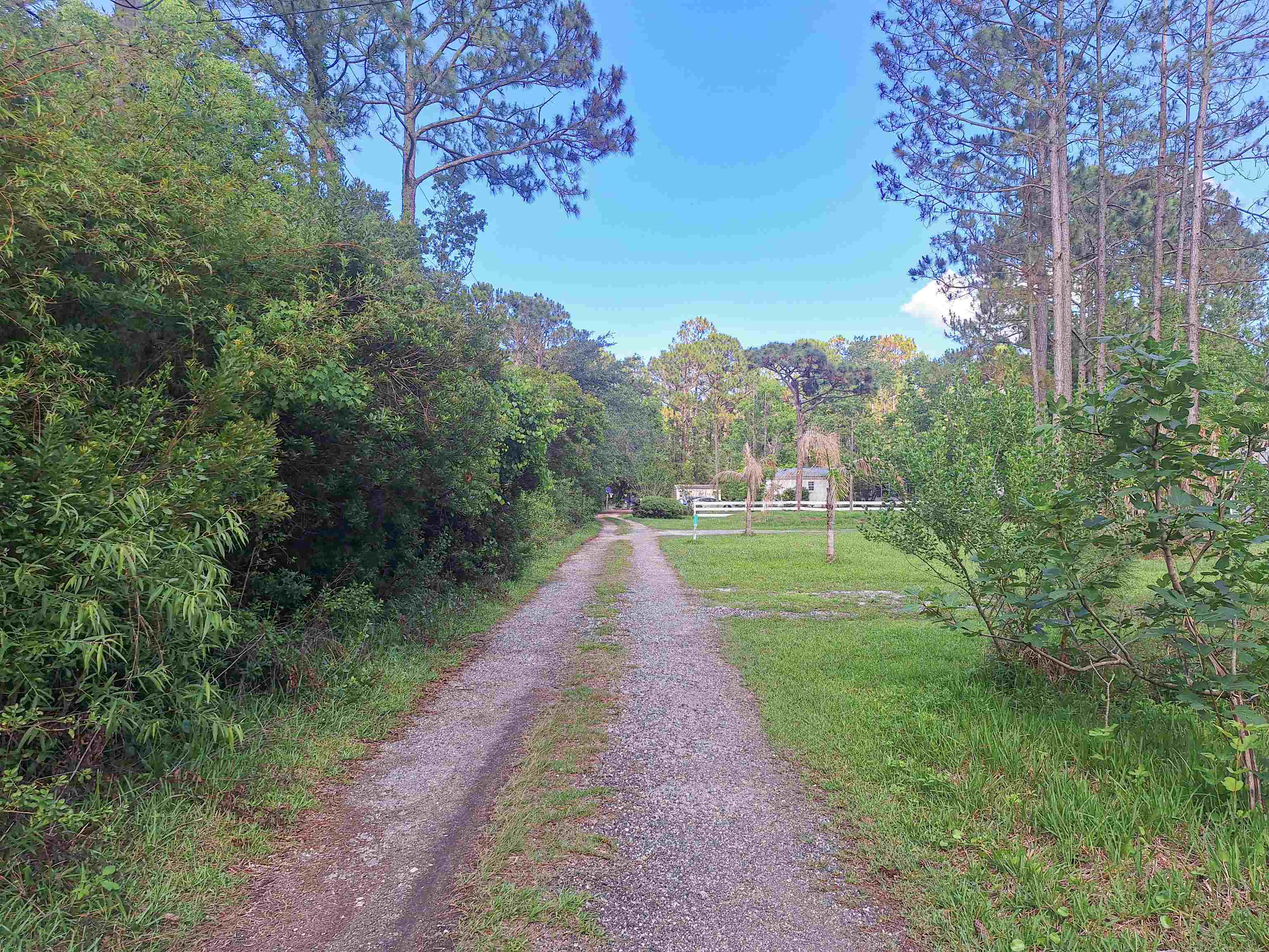 5610 Datil Pepper Road St. Augustine, FL 32086 - Photo 41 of 48