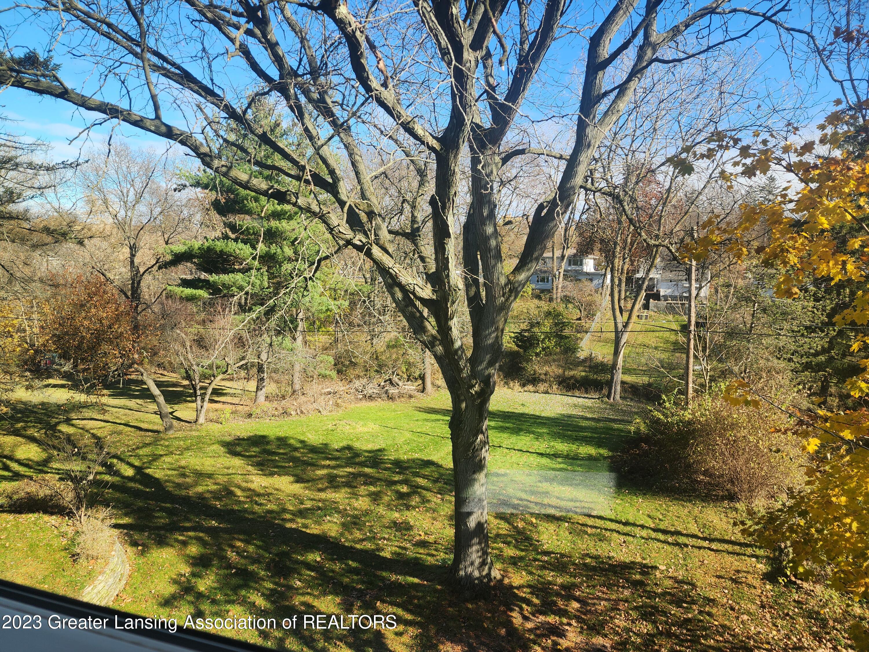 1951 Cumberland Road Lansing, MI 48906 - Photo 24 of 46 Scenic View from Primary Bedroom