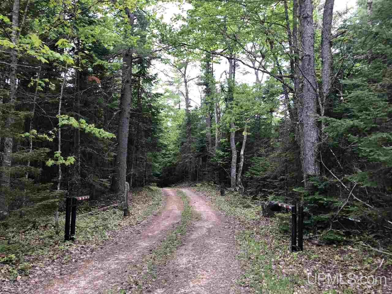 Tbd River Road, Unit PARCEL 3 Gulliver, MI 49854 - Photo 26 of 42
