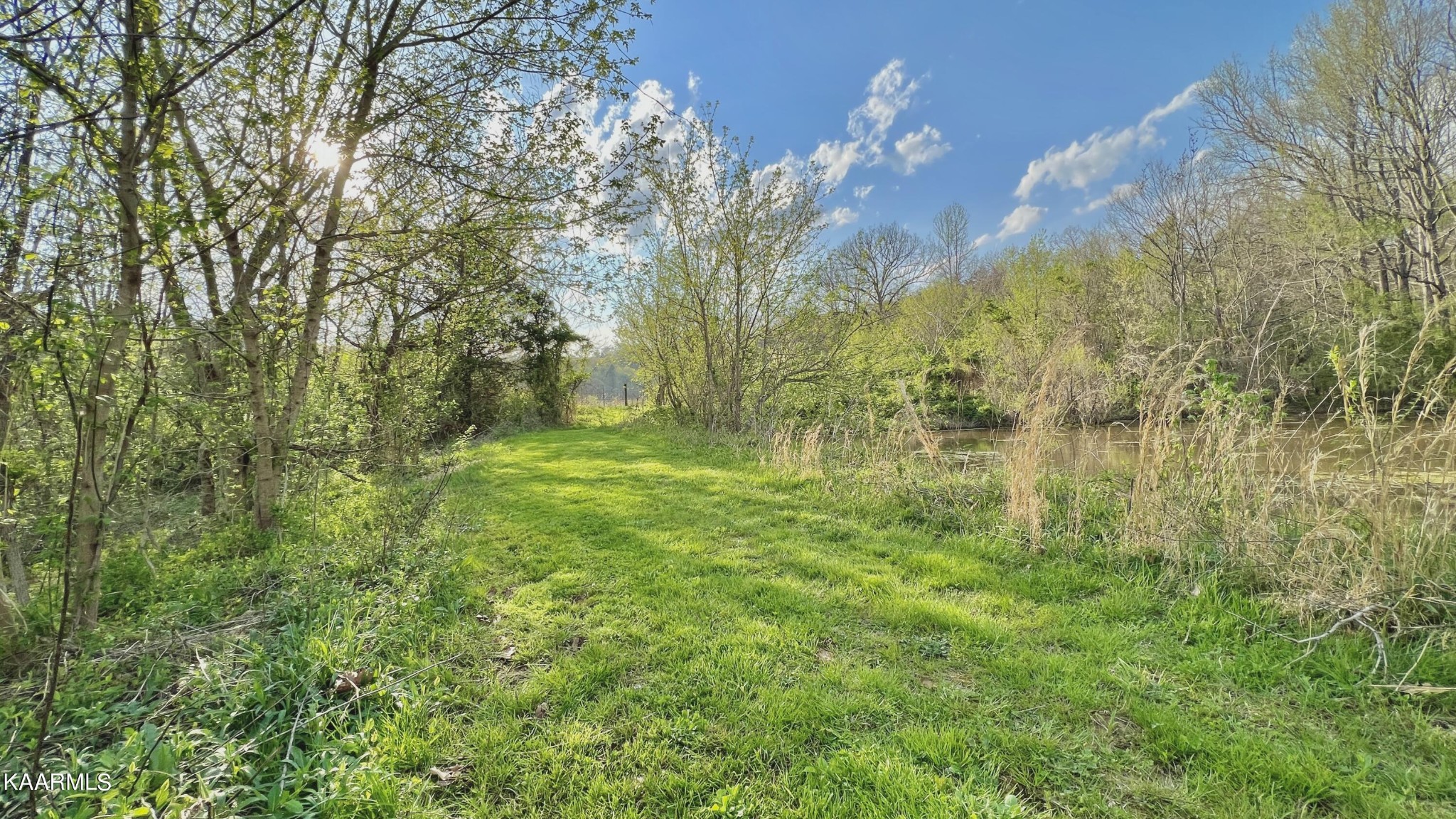 1560 Dripping Springs Road Seymour, TN 37865 - Photo 16 of 46