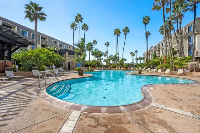 a view of a park with plants and palm trees