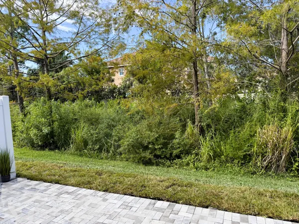 a view of a yard with plants and large trees