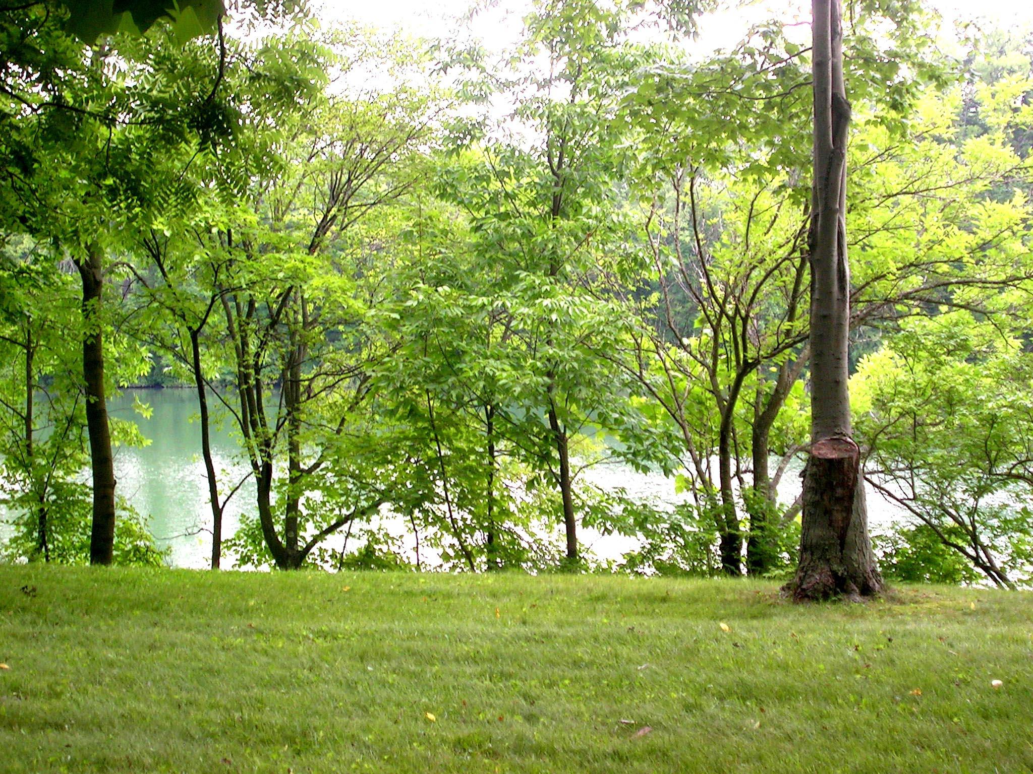 5735 Sinclair Road Columbus, OH 43229 - Photo 14 of 18 Gallery Image 14