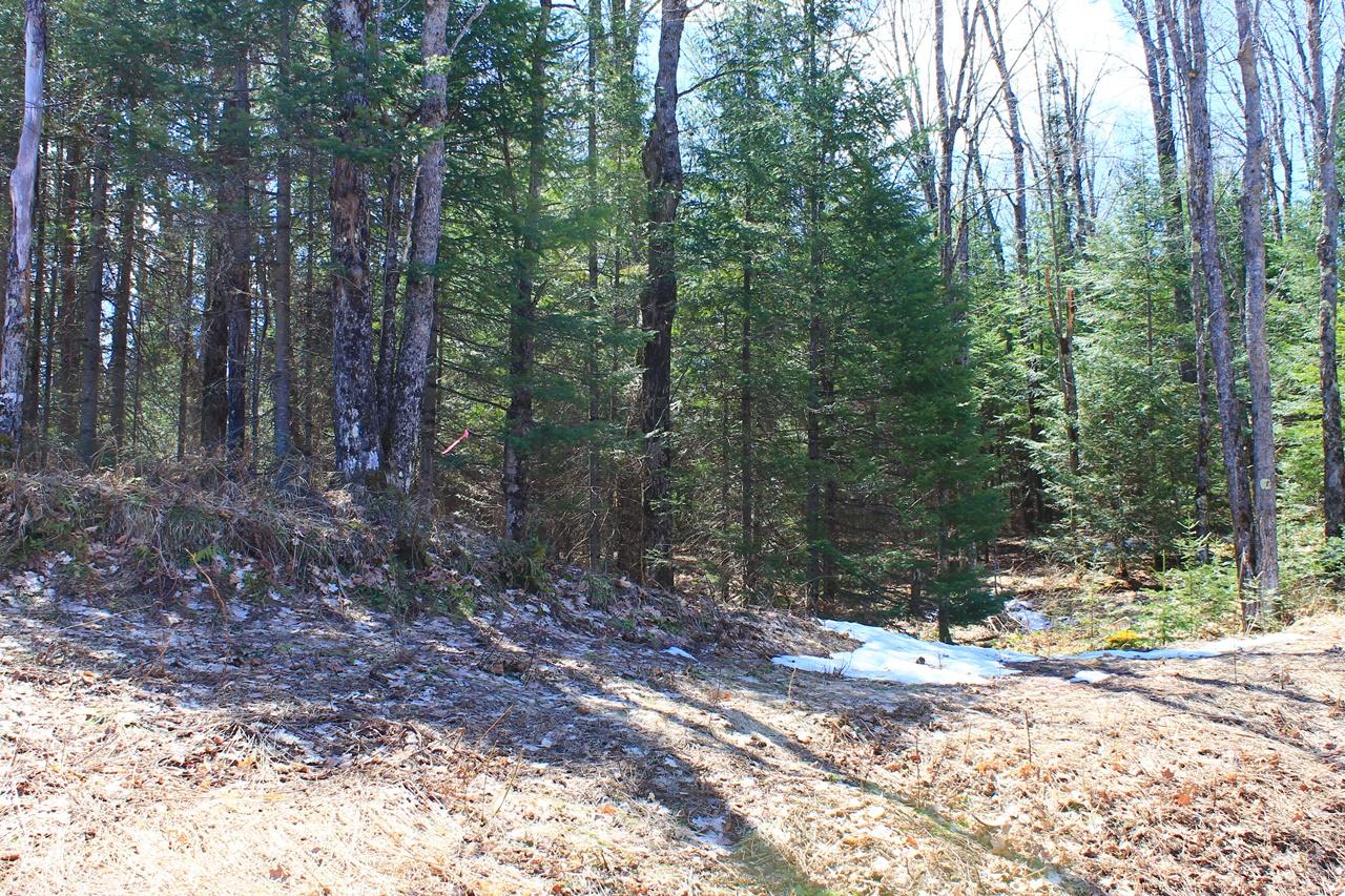 7580 Little Pine Road Hurley, WI 54534 - Photo 33 of 38 Gallery Image 33