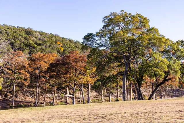 a view of a lake with a mountain