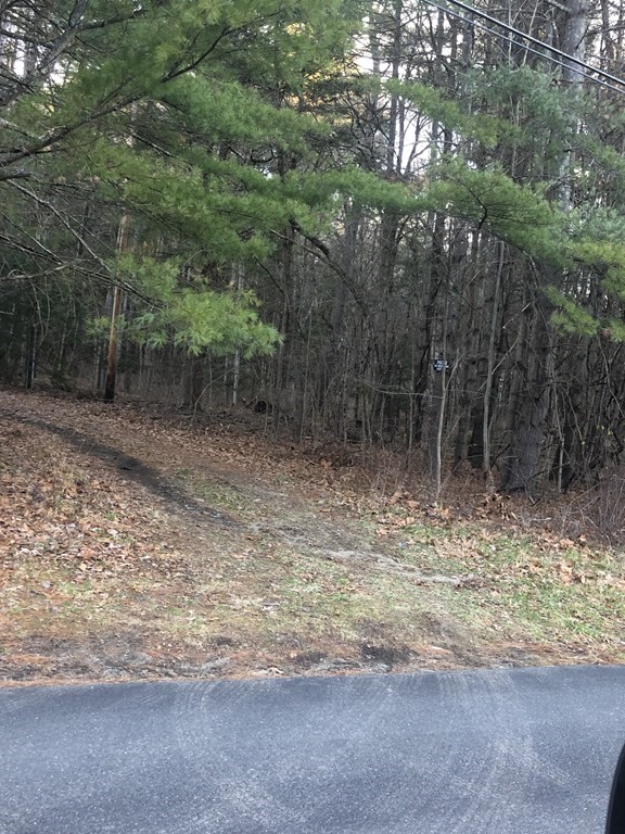 0 Linseed Road West Hatfield, MA 01088 - Photo 1 of 6 a backyard of a house with lots of green space