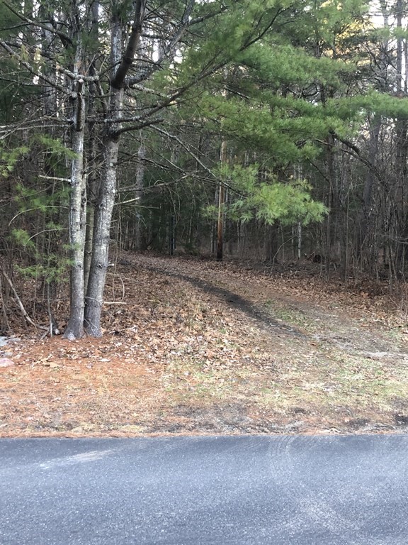 0 Linseed Road West Hatfield, MA 01088 - Photo 2 of 6 a view of a yard with trees